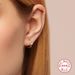 Women's Jewelry S925 Sterling Silver Classic Four Claw Single Diamond Earrings Minimalist Ins Style Earrings_ipsvogv.com