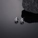 Diamond Studded Couple Earrings Men's And Women's Earrings, Eight Hearts And Eight Arrows, Zircon, Simple Five Star Black Titanium Steel Earrings_ipsvogv.com