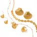 Women's Jewelry Marine Element Series Jewelry High End Luxury Niche Titanium Steel Earrings And Necklace Accessories_ipsvogv.com
