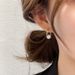 Women's Earrings Zircon Earrings High-end Internet Celebrity Hot Style Earrings Hong Kong Trend Japanese and Korean Earrings_ipsvogv.com