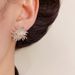 Niche S Silver Needle Metal Dandelion Fireworks Elegant Fashion Light Luxury Versatile Design Sense Earrings_ipsvogv.com