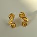 Fashionable Niche INS Titanium Steel Vintage Irregular Petal Versatile Earrings_ipsvogv.com