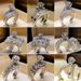 Unisex hot accessories wish hot selling couple rings jewelry engagement rings_ipsvogv.com