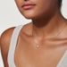 Women's Jewelry White Mother Of Pearl Flower Necklace Light Luxury High End Design Fashionable All Match Four Leaf Clover Clavicle Necklace_ipsvogv.com