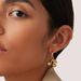 Unisex Real Gold Brass Electroplating Fresh And Sweet Cherry Pendant Earrings For Women Exquisite Earrings_ipsvogv.com