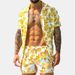 European and American cross-border men's casual loose Hawaiian beachwear three-color printed short-sleeved suit casual two-piece set_ipsvogv.com