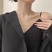 Netizen Love White Shell Four Leaf Grass Necklace for Women's Two Wear Creative Peach Blossom Titanium Steel Lock Bone_ipsvogv.com