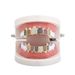 Hip Hop Gold Braces Canine Color 6 Colors Micro Inlaid Zircon Gold Teeth Dress Up Accessories_ipsvogv.com