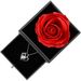 Women’s Jewelry Set Fashion new product heart shaped pendant does not fade high end double love necklace female clavicle chain_ipsvogv.com