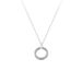 S Sterg Sier Necklace For Women Light 2024 New Style Trendy Niche High End Design Pendant Clavicle Chain Jewelry_ipsvogv.com