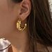 Ins Simple Real Gold Electroplated Titanium Steel Hollow Twist Horn Earrings_ipsvogv.com