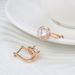 Women's Jewelry Fashion Design Zircon Earrings Temperament Rose Gold Small Earrings_ipsvogv.com