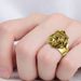 Domineering Lion Head Ring Jewelry Accessories Wholesale Jewelry Men Rings Halloween Rings for Men Cool Stuff Chunky Rings_ipsvogv.com