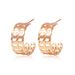 Unisex Fashion Earrings Semi Circular Hollow Gold Earrings Earrings Female_ipsvogv.com