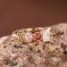 Cao Shi's Exquisite Geometric Light Luxury Style, Simple Colorful Zircon Ring, Fashionable And Elegant Jewelry_ipsvogv.com