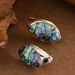 Hot Selling Fashionable Colorful Abalone Earri, Light Luxury Temperament, High-end Feeling, Shell Silver Needle_ipsvogv.com