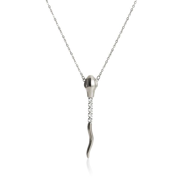 Spot INS Gold Plated Titanium Steel Retro Unique Snake Shaped Zircon Clavicle O Shaped Necklace_ipsvogv.com