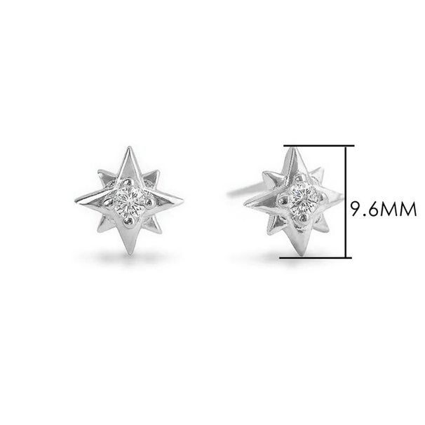 Unisex five pointed star piercing earrings for women micro inlaid zircon star ear bone nails_ipsvogv.com