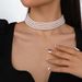 N10536 French Elegant Neckchain Pearl Temperament Light Luxury Fashion Evening Party Necklace Accessories_ipsvogv.com