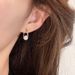 Women's Earrings Zircon Earrings High-end Internet Celebrity Hot Style Earrings Hong Kong Trend Japanese and Korean Earrings_ipsvogv.com