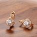 Women's Jewelry Fashion Design Zircon Earrings Temperament Rose Gold Small Earrings_ipsvogv.com