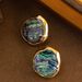 Exquisite And Fashionable Natural Abalone Shell Earri, Niche, Light Luxury, Fashionable, High-end Silver Needle_ipsvogv.com