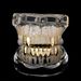 Unisex Jewelry Fashion full diamond mixed inlay vampire fangs trendy cool men decoration dentures gold braces personality accessoriesHIPHOP tooth_ipsvogv.com