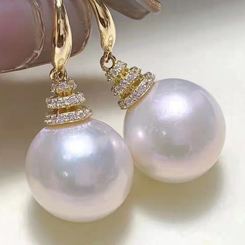 Cao Shi'sl earrings women's luxury and high sense ins earrings trendy autumn and winter versatile earrings_ipsvogv.com
