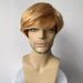 Golden holiday wig for men Trump short hair Trump Trump men's wig President masquerade_ipsvogv.com