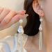 Women's earrings pearl tassel ear hooks, elegant and fashionable design, light luxury earrings, niche retro commuter earrings for women_ipsvogv.com