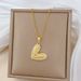 【 Titanium Steel 】 Love Smooth Peach Heart Light Luxury Temperament Gorgeous Full Diamond Necklace Women's Versatile_ipsvogv.com