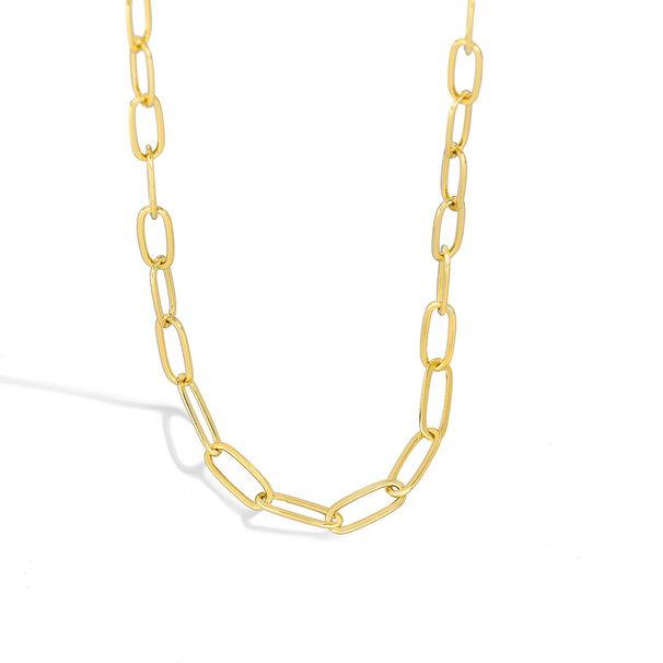 Women's Jewelry Stackable Necklace For Women With Gold Plated Copper Clip Chain Clavicle Chain Niche_ipsvogv.com