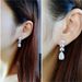Cao Shi Jewelry Fashion Women's Mid Length Leaf Droplet Shaped Zircon Earrings_ipsvogv.com