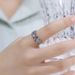 new Double Row Color Zircon Stacking Ring Female S925 Silver Inlaid Rainbow Zircon Ring Brooch Two Wear_ipsvogv.com