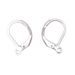 Stainless Steel D-shaped Buckle Ear Hook French Clip DIY Jewelry Accessories Environmentally Friendly And Anti Allergic_ipsvogv.com