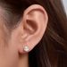Women's Jewelry Water Drop Zircon Earrings 925 Sterling Silver Light Luxury High End Versatile Earrings Ear Jewelry_ipsvogv.com