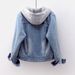 Women's Clothing Velvet Thickened Cotton Cotton Coat Removable Hooded Warm Lambswool Cotton Coat Short Style_ipsvogv.com