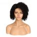 Short Bob Curly No Lace 10in 100% Human Hair Glueless Wig_ipsvogv.com