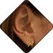 Hot Sale Real Gold Brass Electroplating Small And Cute Bow Mini Earrings Fashionable And Versatile Earrings_ipsvogv.com