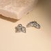 Women's Jewelry Retro K Gold Plated Titanium Steel Small And Exquisite Zircon Earring Combination_ipsvogv.com