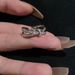 Love And Crossed Zircon Female Instagram, Niche Design, Index Finger Ring, Light Luxury, Exquisite Opening Ring_ipsvogv.com