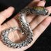 Black Snake Silver-Plated Bracelet For Men, High-End Niche Design, Unique Medusa Rattlesnake Hip-Hop Bold Style_ipsvogv.com