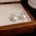 Korean Style Elegant Fashion Simple Niche Metal Brushed Small Water Drop Earrings For Women High-end Light Luxury_ipsvogv.com