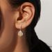 Willson Jewelry New Recommendation S925 Sterling Silver Earrings Fashion Trend Goose Yellow Ice Flower Cut High Carbon Diamond Ear Hooks_ipsvogv.com