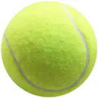 Racquet Sports_ipsvogv