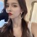 Women's earrings needle earrings for women European and American high-end long geometric oval earrings matte frosted fashionable ear jewelry trend_ipsvogv.com