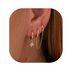 Brass With Real Gold Plating, Hot Selling Across, Flower Chain With Zircon, Fashionable And Versatile Women's Earrings Set_ipsvogv.com