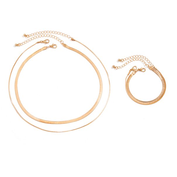 Metal Snake Bone Chain Bracelet Necklace Set Europe, America, 2025 Spring Simple Fashion Matching Clothes Accessories Combination_ipsvogv.com