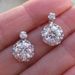 Cao Shi's New Fashion Trend Flash Diamond Zircon Female Style Flower Earrings Accessories_ipsvogv.com