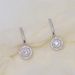 Cao Shiman's Zircon Inlaid Women's Ear Buckle Temperament Ins Trendy Earrings Light Luxury Jewelry_ipsvogv.com